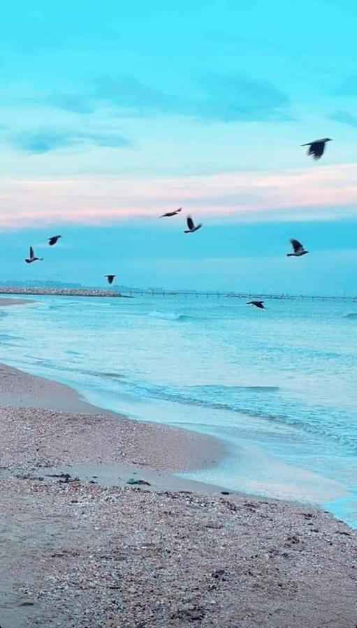 Ayan Moonlight Residence Mamaia Bagian luar foto
